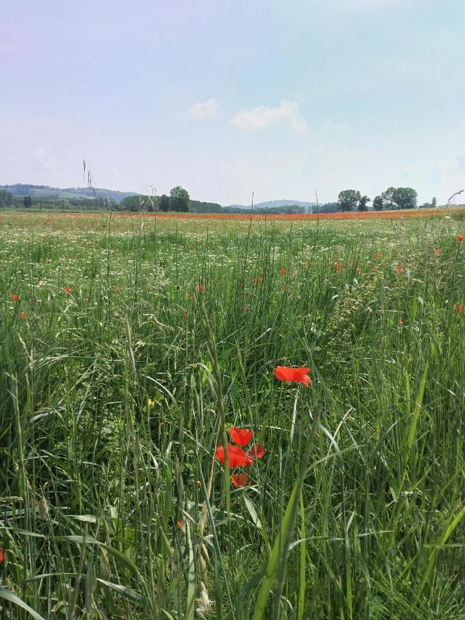 Bio Agriturismo Pratini Monte Lopio Экстерьер фото